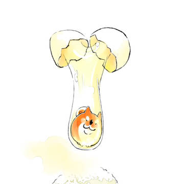 たまごかけごはんが食べたい