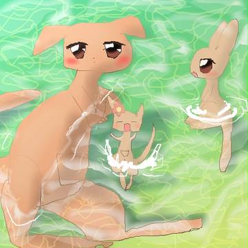 カンガルー