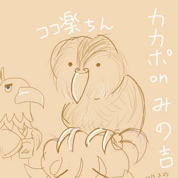 戦国武将姫muramasa 絵