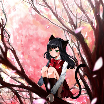 Spring Cat