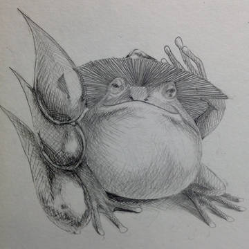 カエル泣