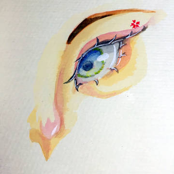 眼睛