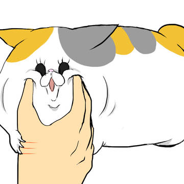 ぶにゅう