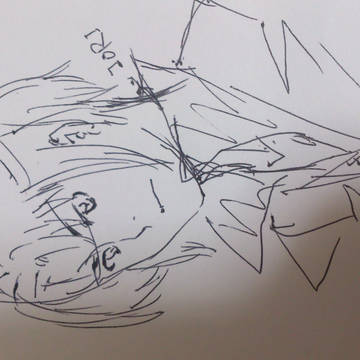 ボールペン落書き　