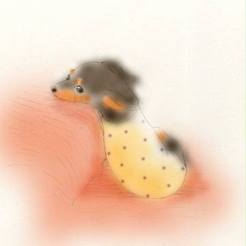 もーこさん