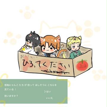 ねこみみすーじく