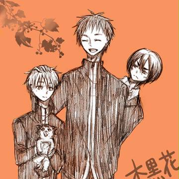 木黒花