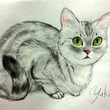 にゃーちちゃん