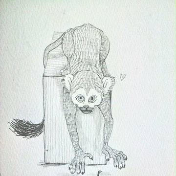 Black-capped Squirrel Monkey