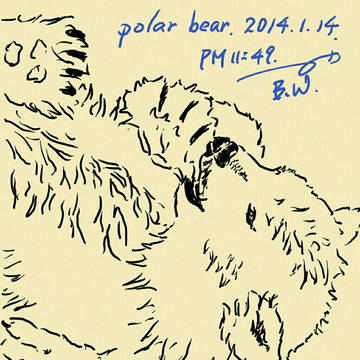 polar bear