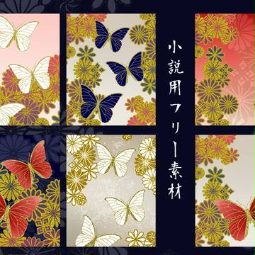 小説表紙用フリー素材：蝶