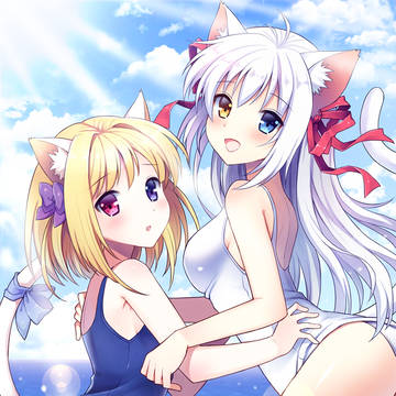 ねこみみ☆