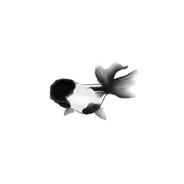 金魚