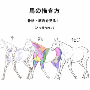 馬の描き方 (メモ帳用)