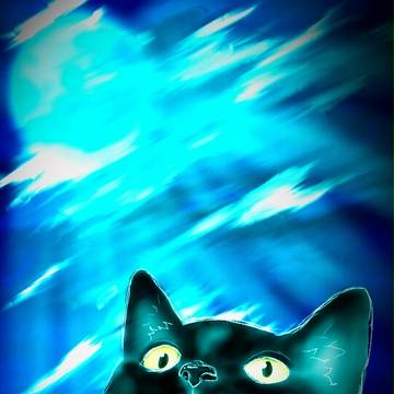 黒猫、月光に照らされて