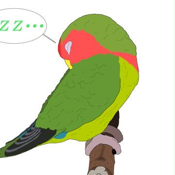 眠たい・・・