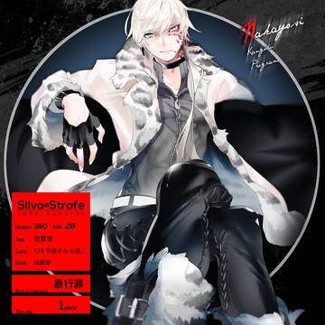 【NKP】シルヴァ・シュトラーフェ【暴行罪】