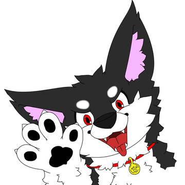 けもわんこ