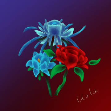 gift
