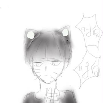 猫弄君