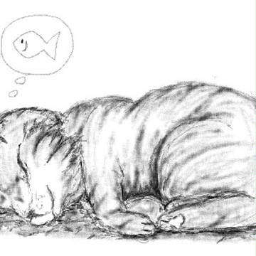 猫っぽいもの