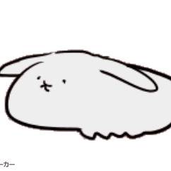 ぴょんぴょこうさしみ
