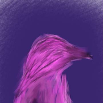SoundofaPlaygroudFading