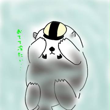らっこてつさん。
