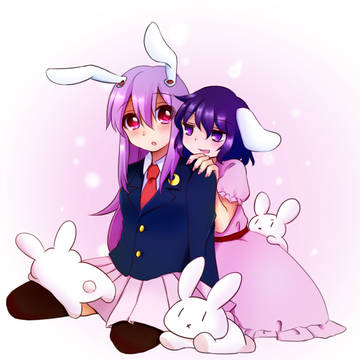 うさぎもちもち