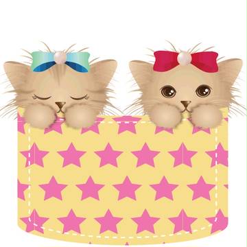 ポケット猫