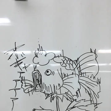 金魚草