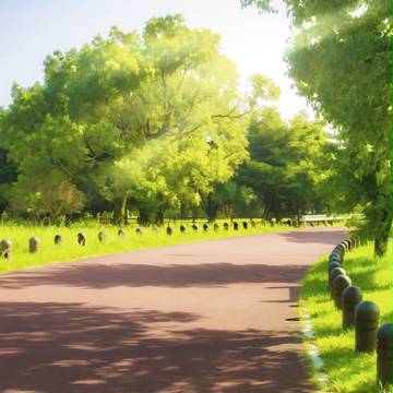 森の道