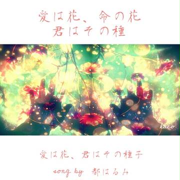 愛は花、君はその種子