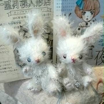 月夜のうさぎさん
