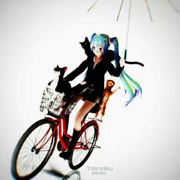 猫与少女