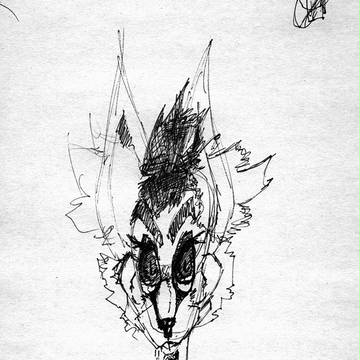 Cat sketch