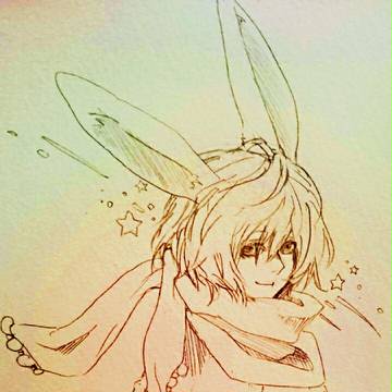 ルル(兎)の向こうに流れ星