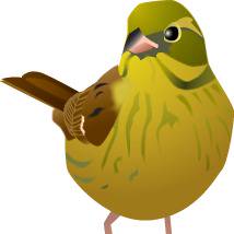 野鳥いろいろ