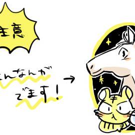 眠れる千葉の眼鏡