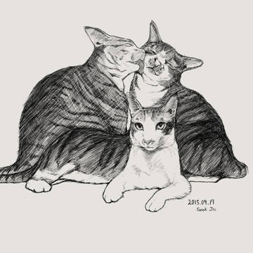 Cats in My Life