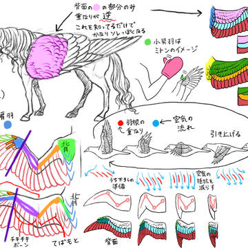 翼の描き方
