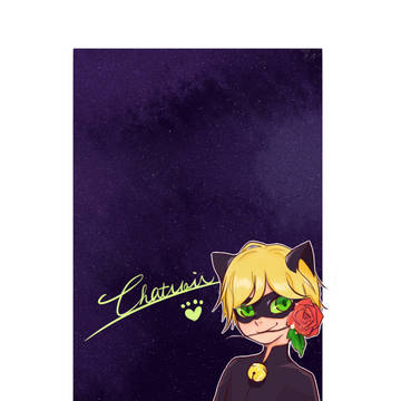 chat noir~！