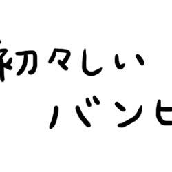 【GS3】バンビの変遷