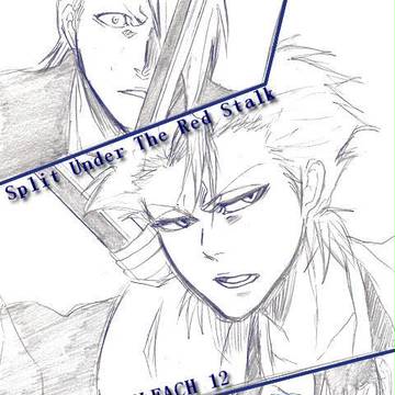BLEACH１２～２１巻＋α