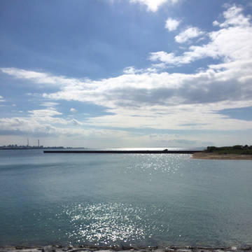 綺麗な海岸