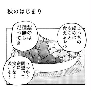 HT4サンプル
