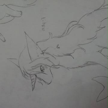 光(コウ)