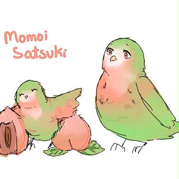 Birbs