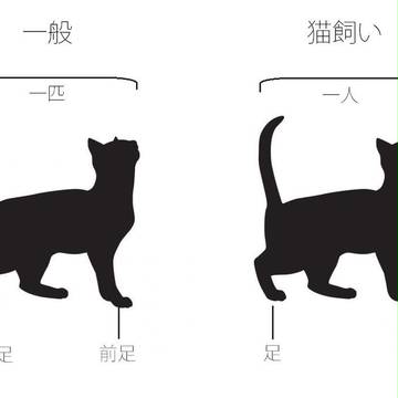 ねこ(飼い)のきもち