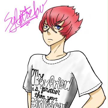 The Shirt